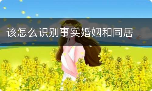 该怎么识别事实婚姻和同居