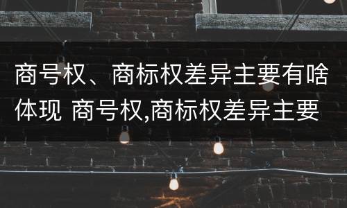 商号权、商标权差异主要有啥体现 商号权,商标权差异主要有啥体现