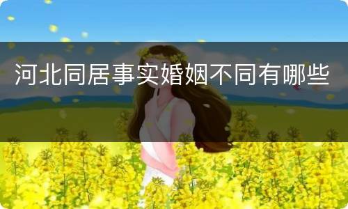 河北同居事实婚姻不同有哪些