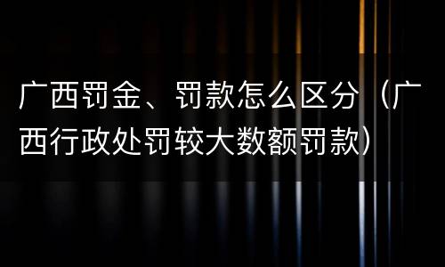 广西罚金、罚款怎么区分（广西行政处罚较大数额罚款）