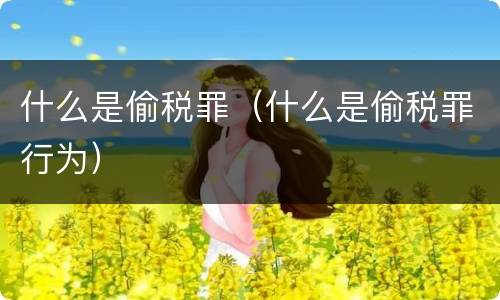 什么是偷税罪（什么是偷税罪行为）