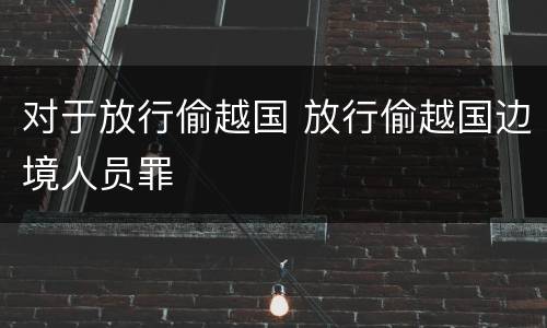 对于放行偷越国 放行偷越国边境人员罪