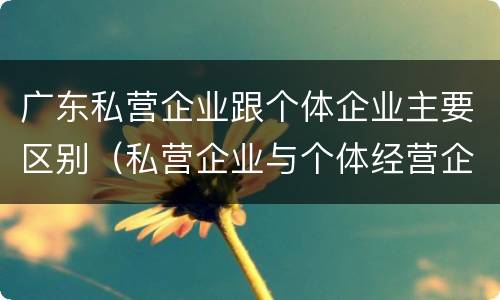 广东私营企业跟个体企业主要区别（私营企业与个体经营企业的区别）