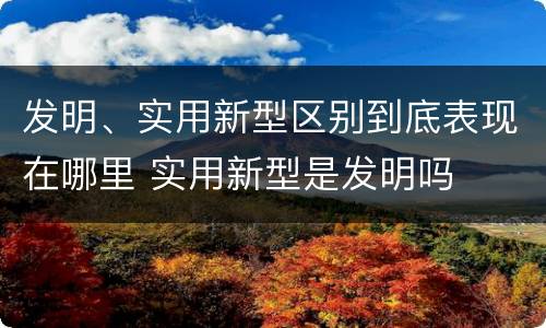 发明、实用新型区别到底表现在哪里 实用新型是发明吗
