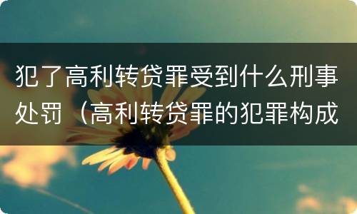 犯了高利转贷罪受到什么刑事处罚（高利转贷罪的犯罪构成）