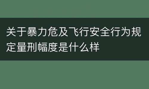 关于暴力危及飞行安全行为规定量刑幅度是什么样