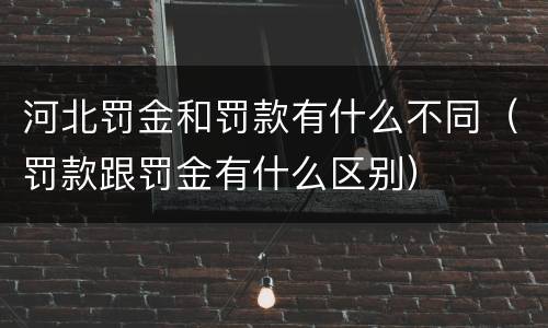 河北罚金和罚款有什么不同（罚款跟罚金有什么区别）