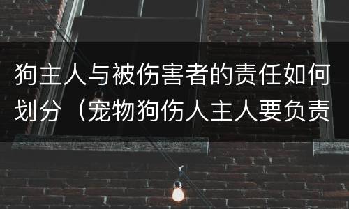 狗主人与被伤害者的责任如何划分（宠物狗伤人主人要负责任吗）