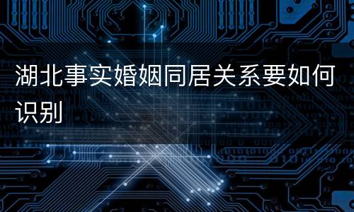 湖北事实婚姻同居关系要如何识别