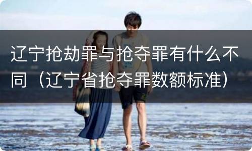 辽宁抢劫罪与抢夺罪有什么不同（辽宁省抢夺罪数额标准）