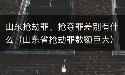 山东抢劫罪、抢夺罪差别有什么（山东省抢劫罪数额巨大）