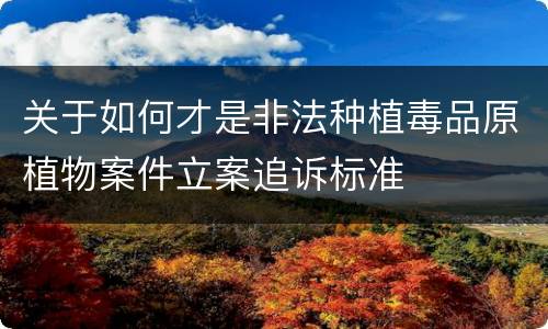 关于如何才是非法种植毒品原植物案件立案追诉标准