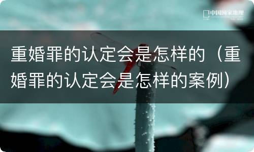 重婚罪的认定会是怎样的（重婚罪的认定会是怎样的案例）