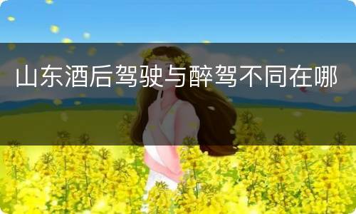 山东酒后驾驶与醉驾不同在哪