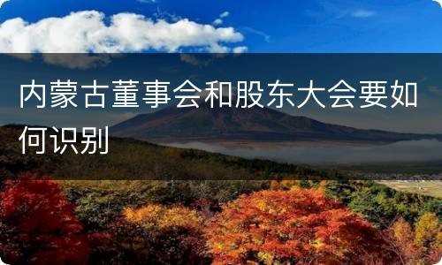 内蒙古董事会和股东大会要如何识别