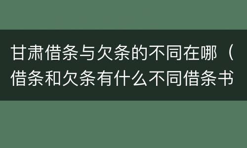 甘肃借条与欠条的不同在哪（借条和欠条有什么不同借条书写）