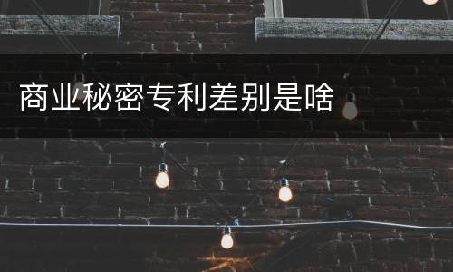 商业秘密专利差别是啥