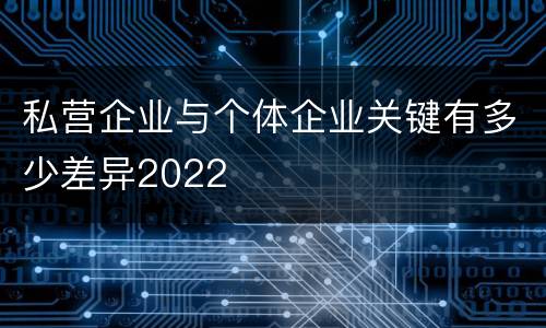 私营企业与个体企业关键有多少差异2022