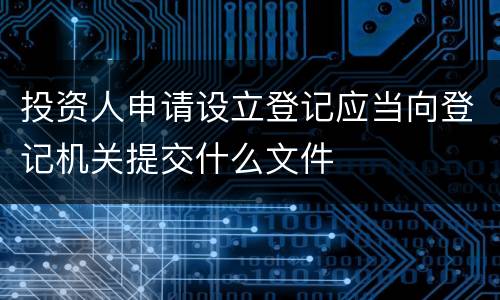 投资人申请设立登记应当向登记机关提交什么文件