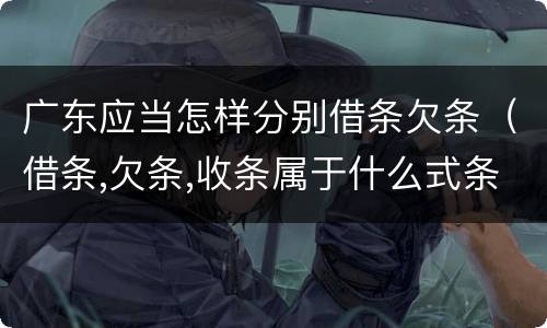 广东应当怎样分别借条欠条(借条,欠条,收条属于什么式条据)
