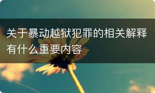 关于暴动越狱犯罪的相关解释有什么重要内容