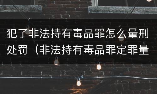 犯了非法持有毒品罪怎么量刑处罚（非法持有毒品罪定罪量刑）