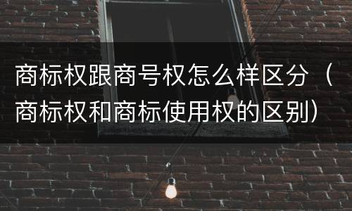商标权跟商号权怎么样区分（商标权和商标使用权的区别）