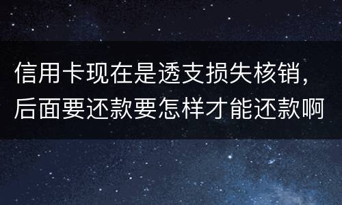 信用卡现在是透支损失核销，后面要还款要怎样才能还款啊