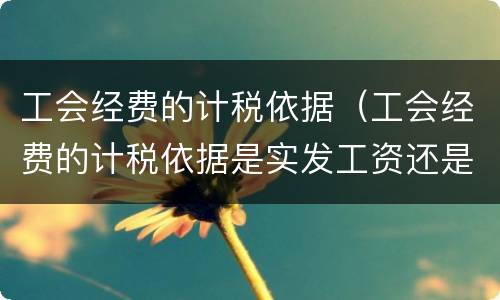 工会经费的计税依据（工会经费的计税依据是实发工资还是应发工资）