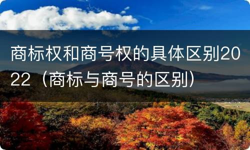 商标权和商号权的具体区别2022（商标与商号的区别）