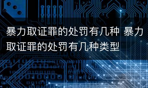 暴力取证罪的处罚有几种 暴力取证罪的处罚有几种类型