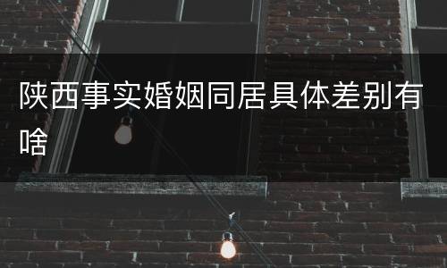 陕西事实婚姻同居具体差别有啥
