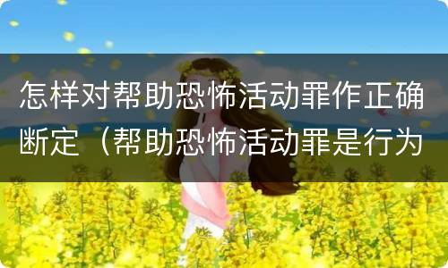 怎样对帮助恐怖活动罪作正确断定（帮助恐怖活动罪是行为犯吗）