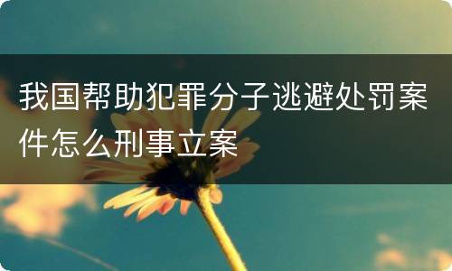 我国帮助犯罪分子逃避处罚案件怎么刑事立案
