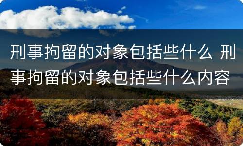刑事拘留的对象包括些什么 刑事拘留的对象包括些什么内容