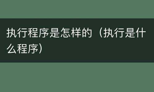 执行程序是怎样的（执行是什么程序）