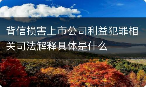 背信损害上市公司利益犯罪相关司法解释具体是什么