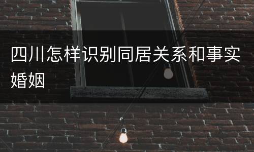 四川怎样识别同居关系和事实婚姻