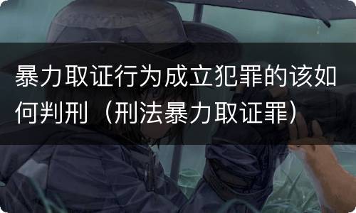 暴力取证行为成立犯罪的该如何判刑（刑法暴力取证罪）