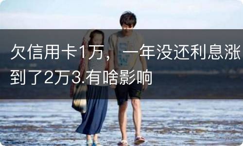 欠信用卡1万，一年没还利息涨到了2万3.有啥影响