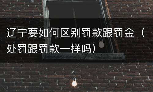 辽宁要如何区别罚款跟罚金（处罚跟罚款一样吗）