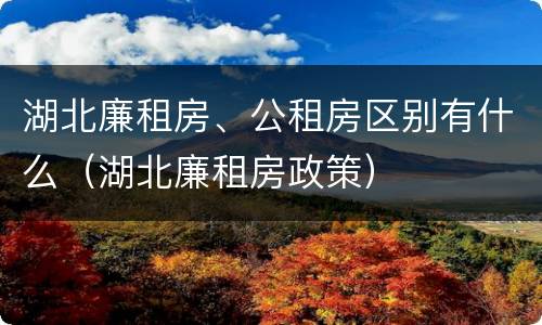 湖北廉租房、公租房区别有什么（湖北廉租房政策）