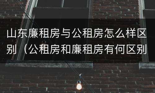 山东廉租房与公租房怎么样区别（公租房和廉租房有何区别）