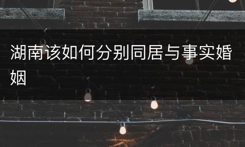 湖南该如何分别同居与事实婚姻