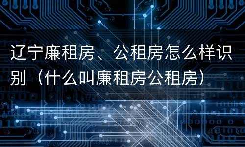 辽宁廉租房、公租房怎么样识别（什么叫廉租房公租房）