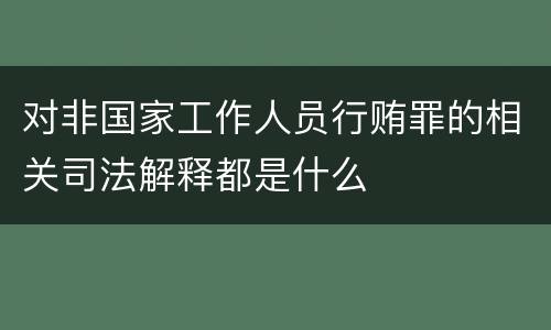 对非国家工作人员行贿罪的相关司法解释都是什么