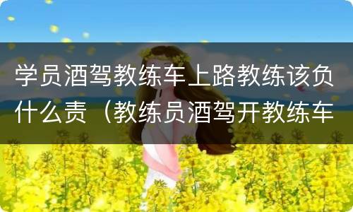 学员酒驾教练车上路教练该负什么责（教练员酒驾开教练车）