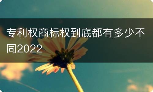 专利权商标权到底都有多少不同2022
