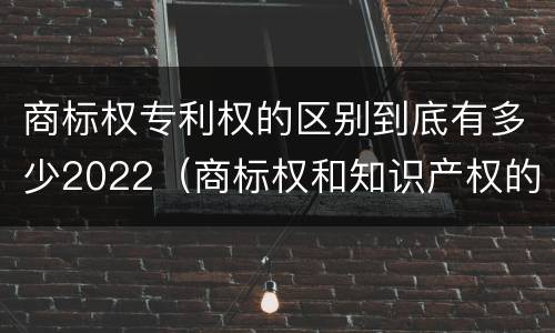 商标权专利权的区别到底有多少2022（商标权和知识产权的区别）