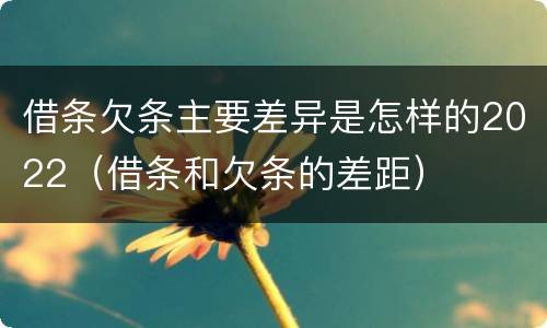 借条欠条主要差异是怎样的2022（借条和欠条的差距）